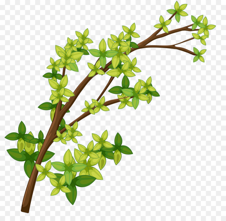 Rama Con Hojas，Árbol PNG