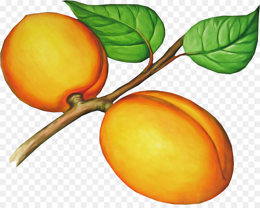 Albaricoques，Fruta PNG