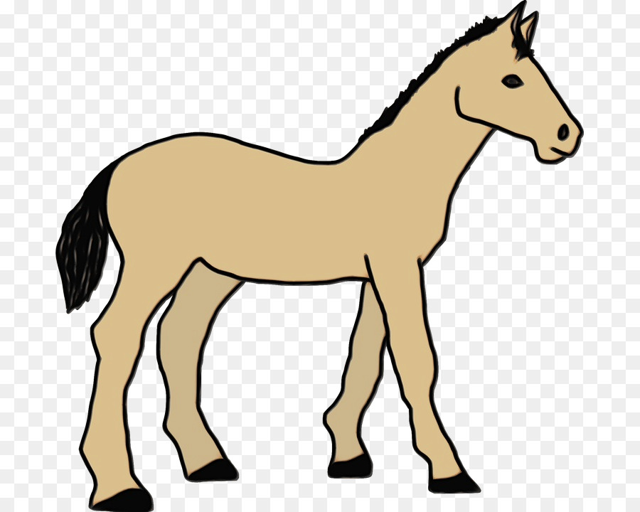 Caballo，Melena PNG