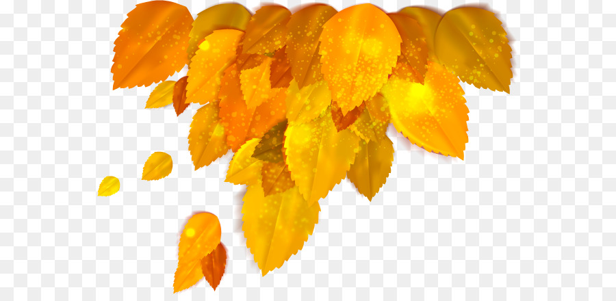 Otoño，Una Fotografía De Stock PNG