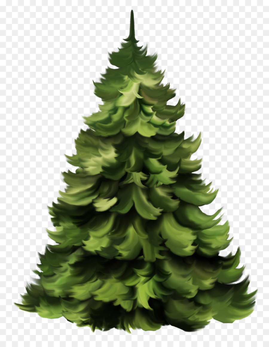 Árbol，Naturaleza PNG