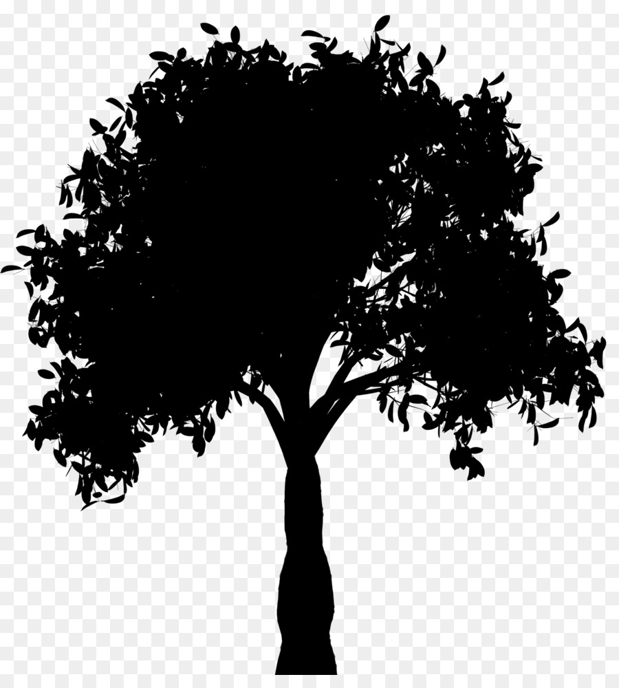 Silueta De Arbol，Planta PNG