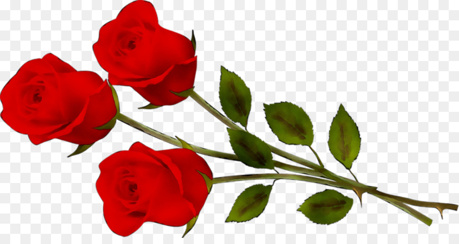 Rosas Rojas，Flores PNG