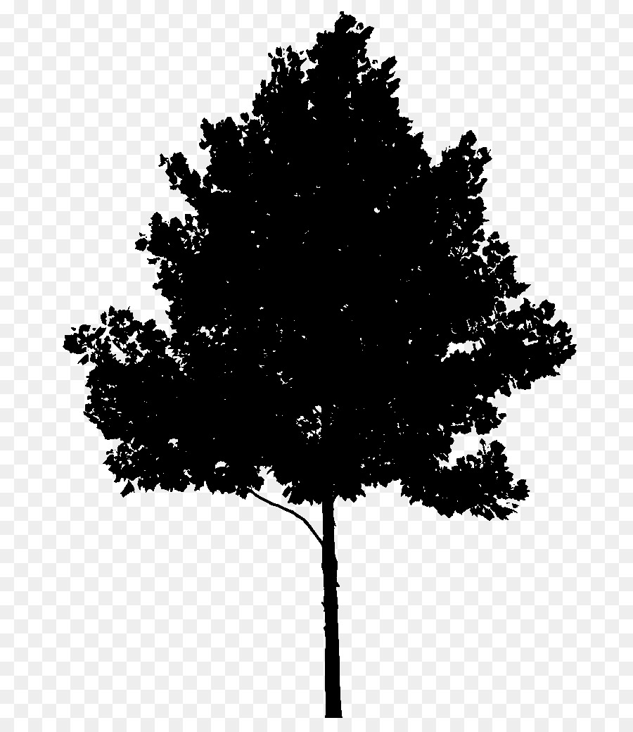 Árbol，Silueta PNG