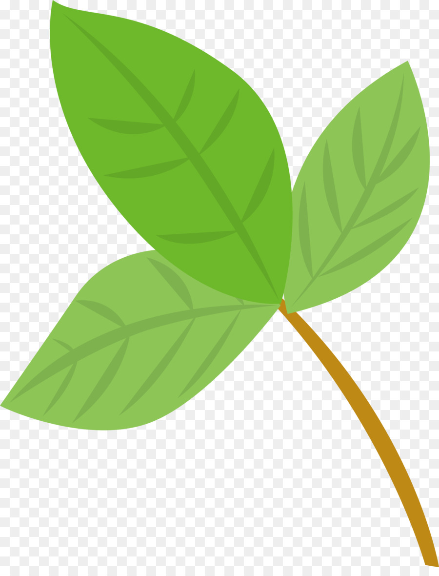 Hojas Verdes，Planta PNG