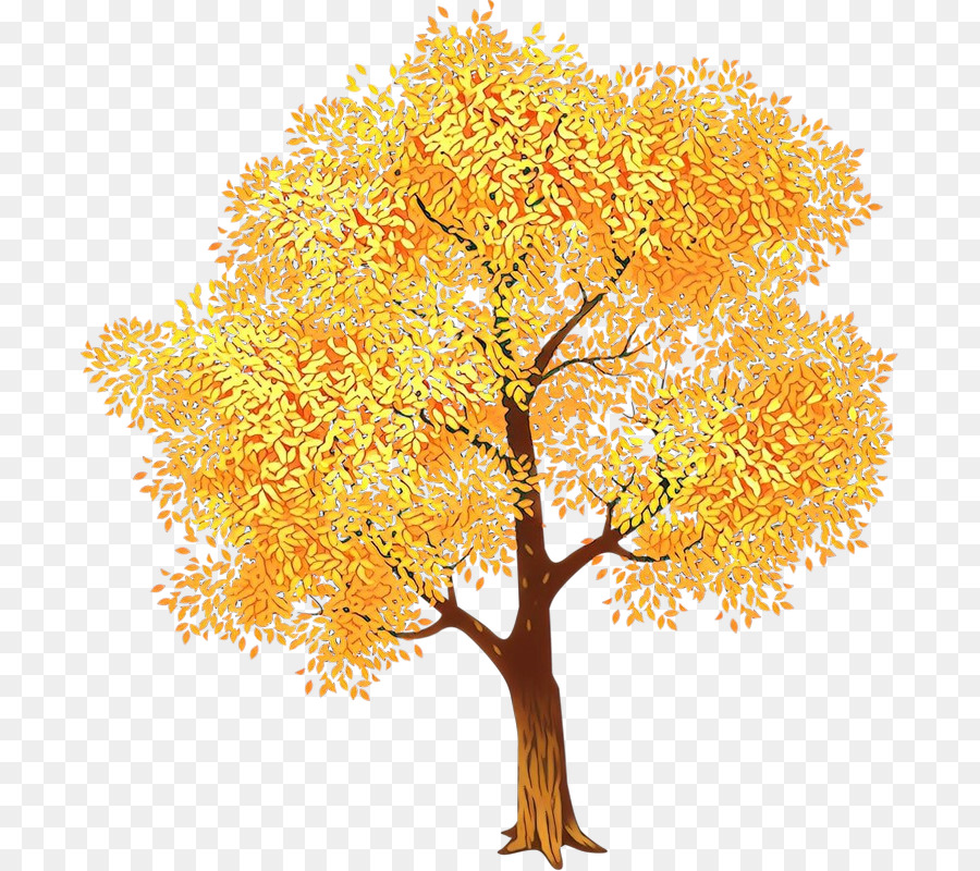 árbol，Otoño PNG