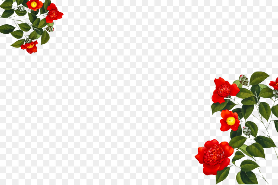 Las Rosas De Jardín，Diseño Floral PNG