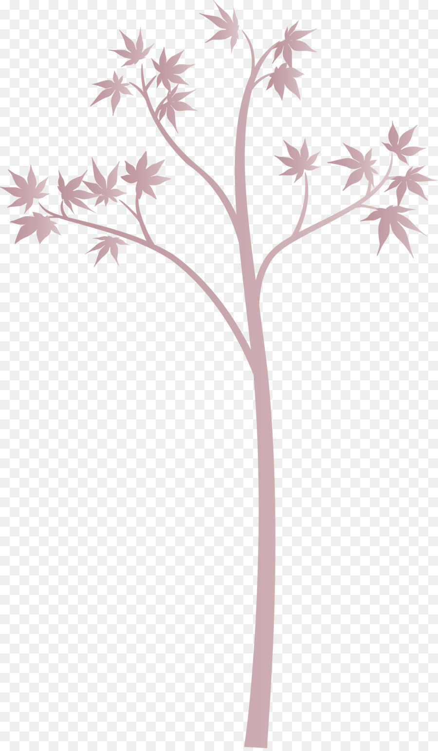 Flor，Planta PNG