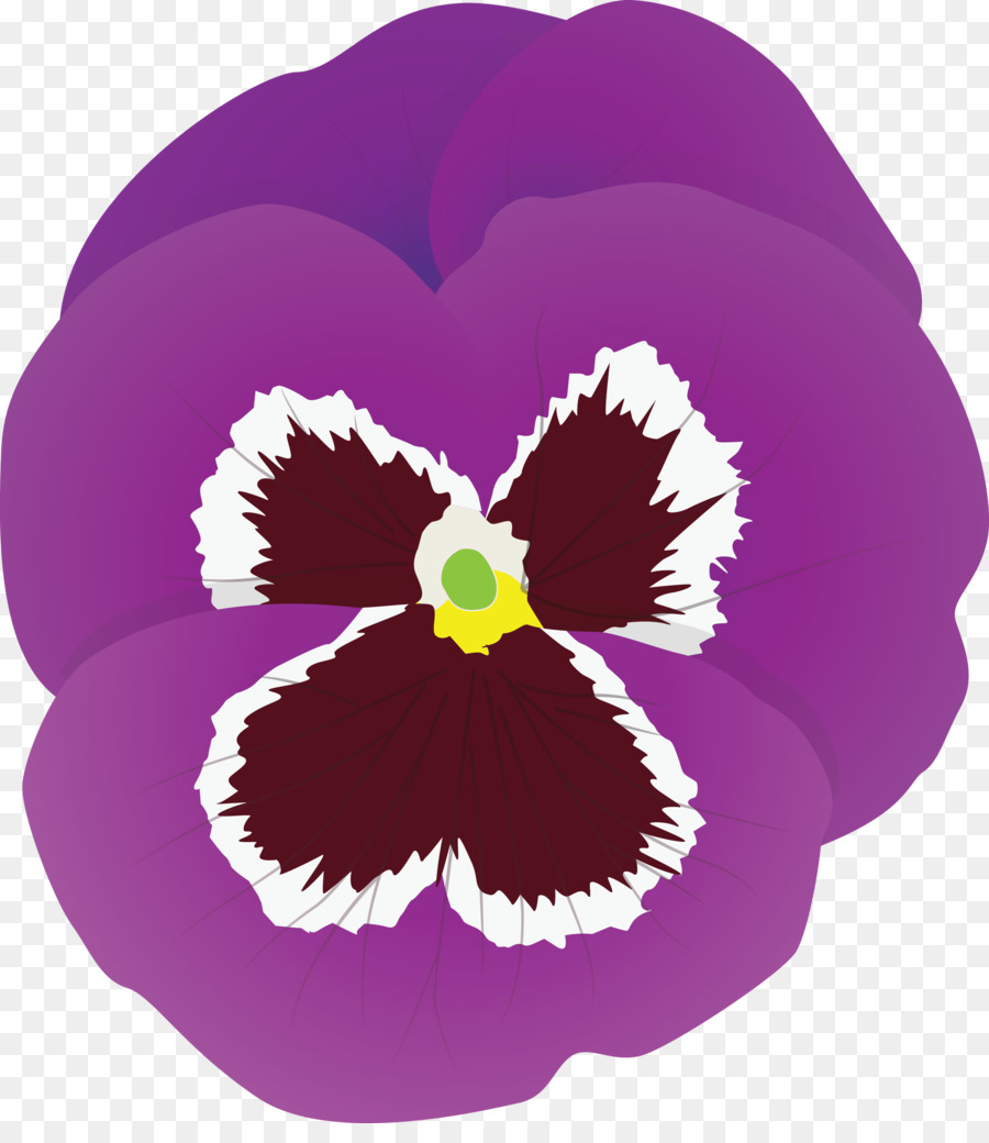 Flor Morada，Pétalos PNG