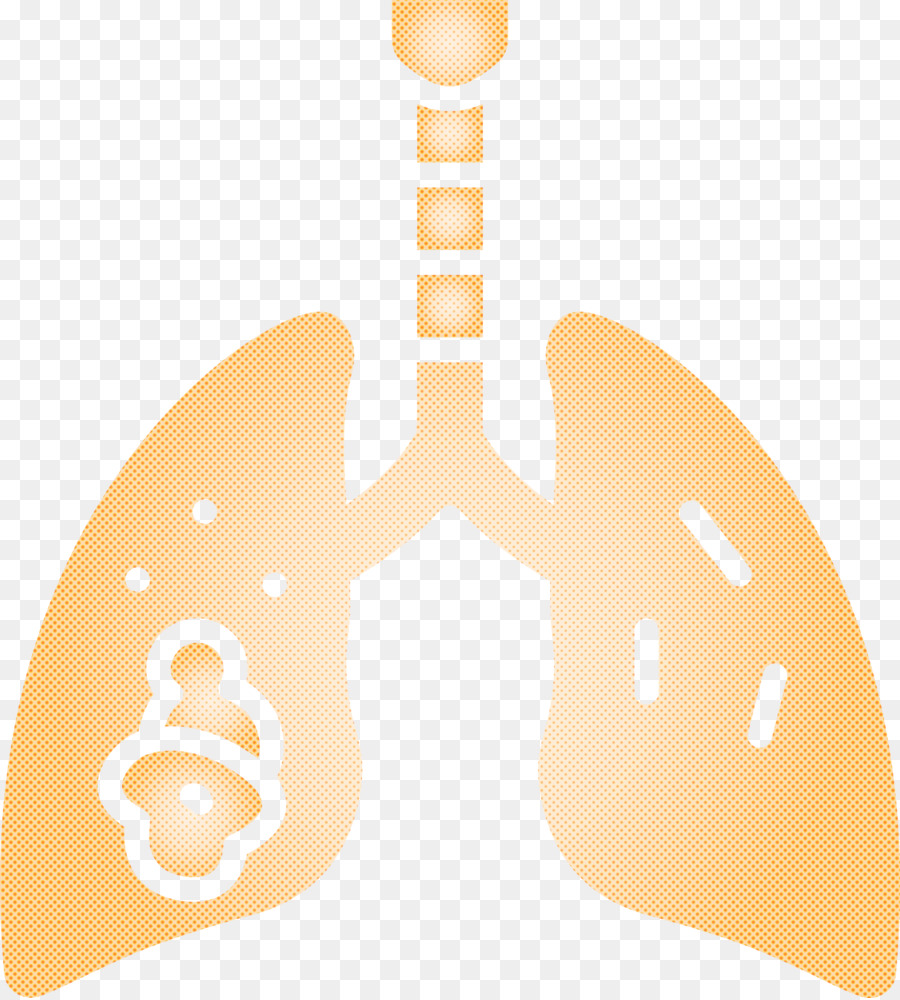 Pulmones，Respiratorio PNG