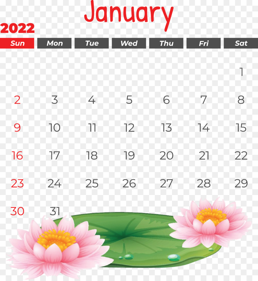 Calendario De Enero，Mes PNG