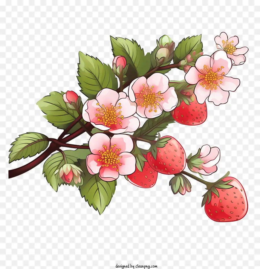 Fresa，Fresas PNG