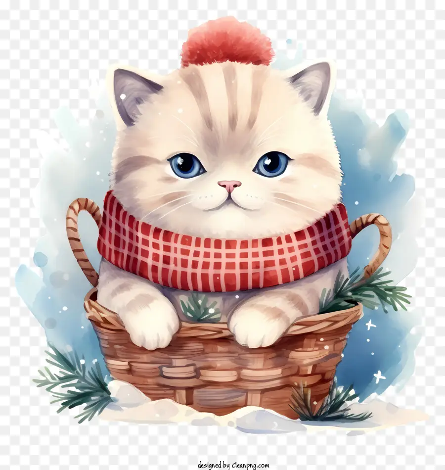 Gato Blanco，Gato En Cesta PNG