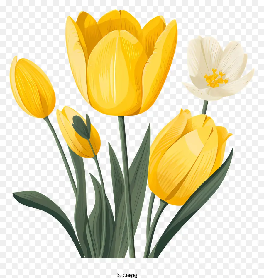 Tulipanes Amarillos，Florero PNG