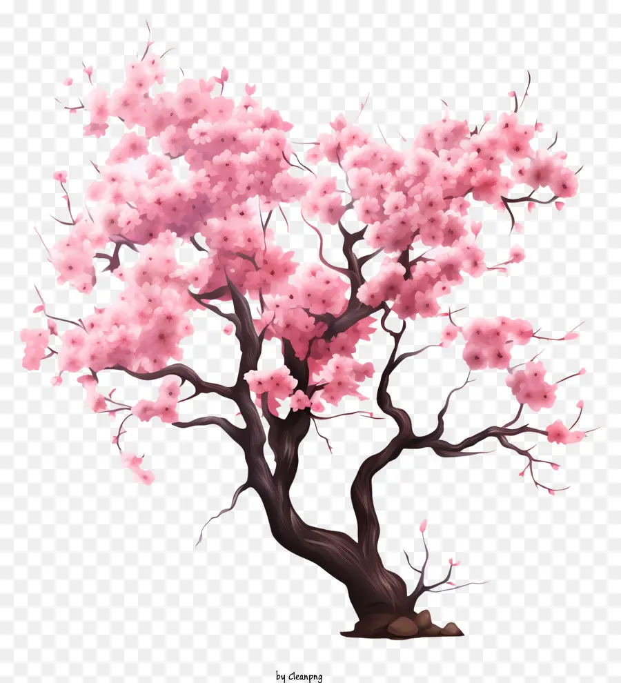 Árbol De Flor De Cerezo Pastel，Árbol De Cerezo En Flor PNG