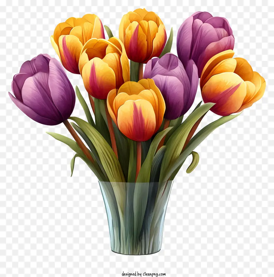 Ramo De Tulipanes Acuarela，Tulipanes Morados PNG