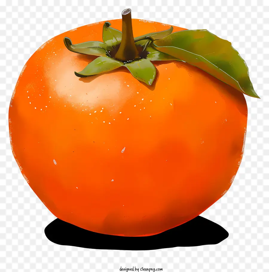 Caqui Estilo Boceto，Naranja PNG