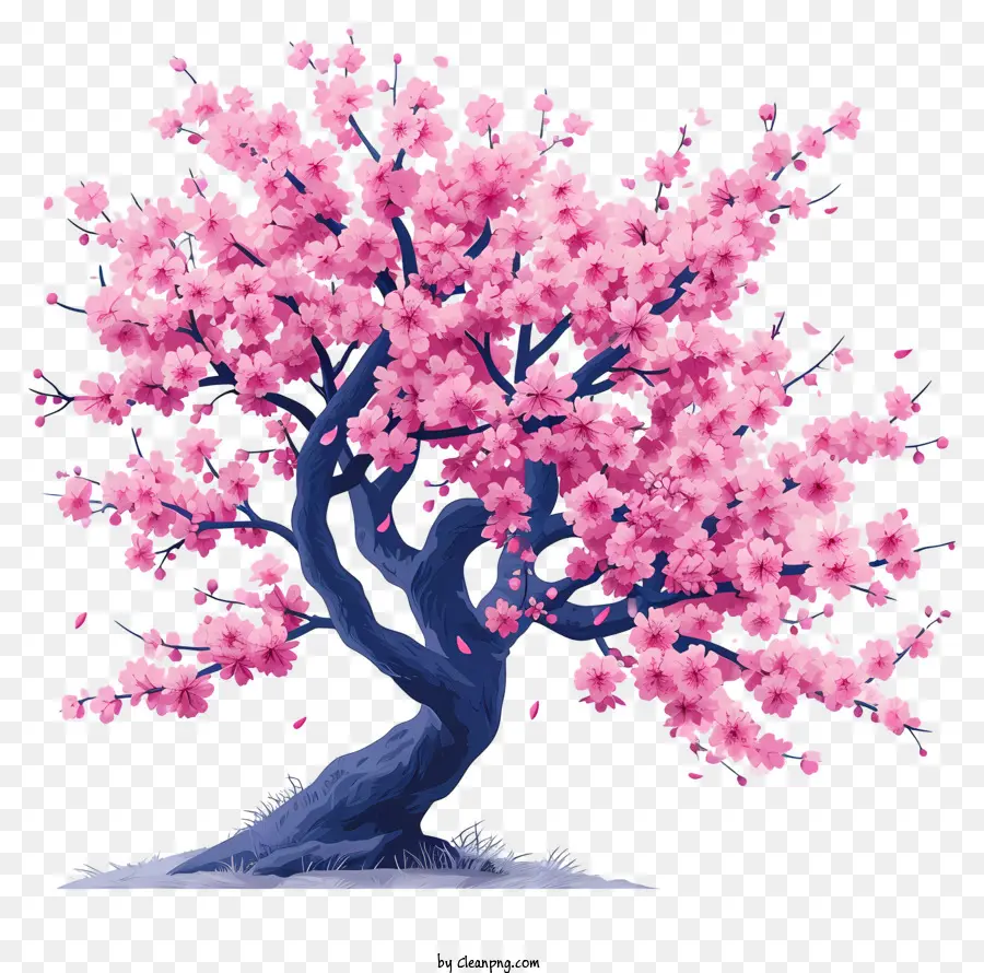 Árbol De Flor De Cerezo Pastel，Árbol De Cerezo En Flor PNG