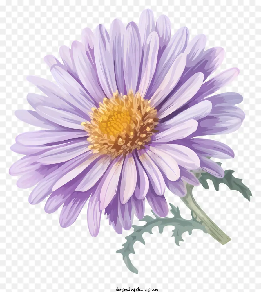 Flor De Aster Plana Y Elegante，Flor Morada PNG