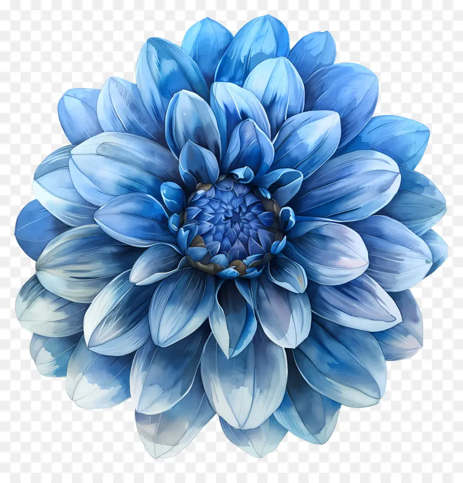 Flor De Dalia Azul，Flor PNG