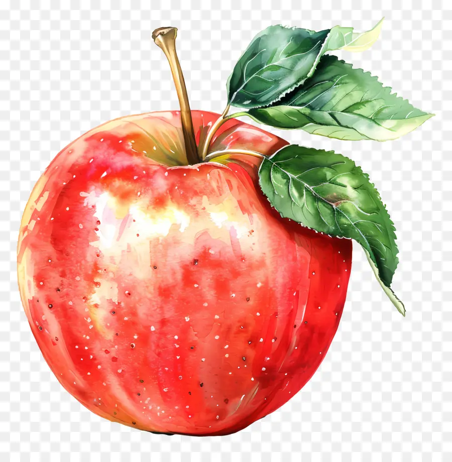 Manzana，Manzana Roja PNG