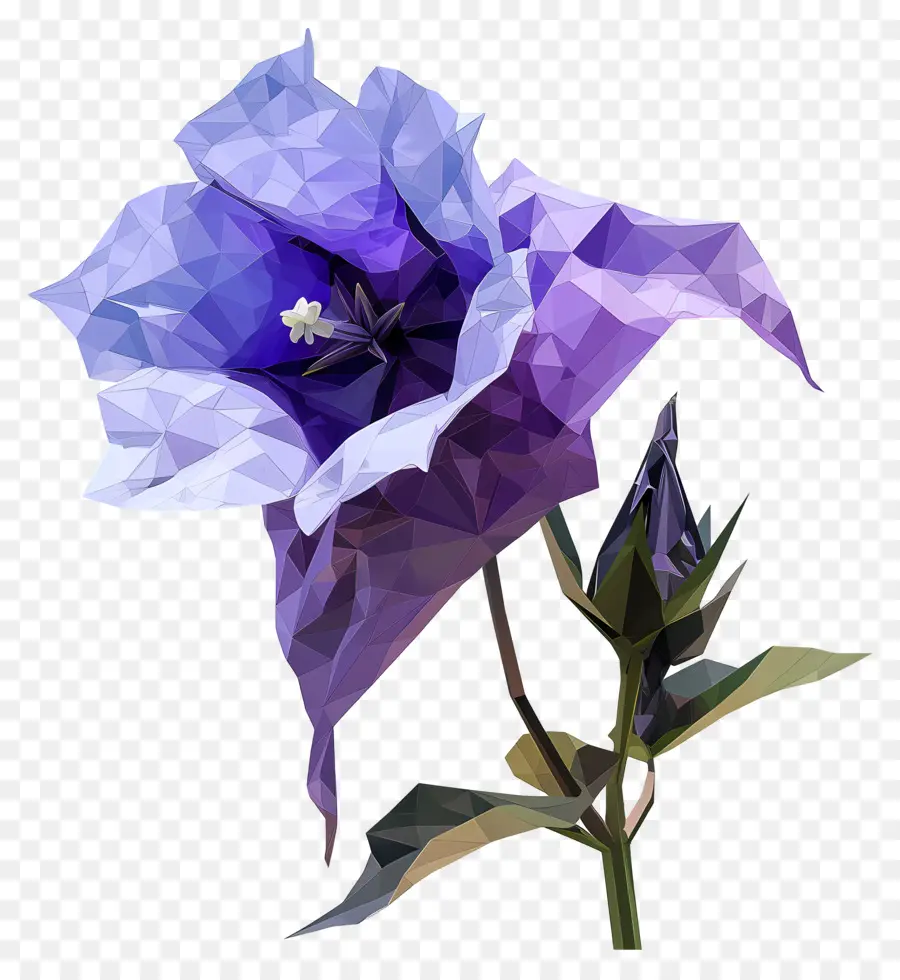 Flor Digital，Campanilla PNG