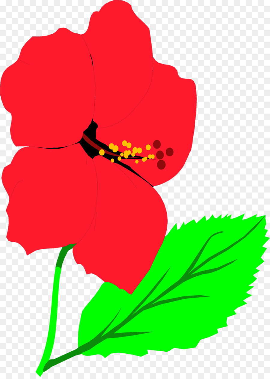 Flor，Florescer PNG