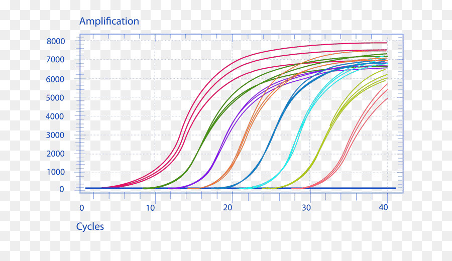 Gráfico De Amplificação，Pcr PNG