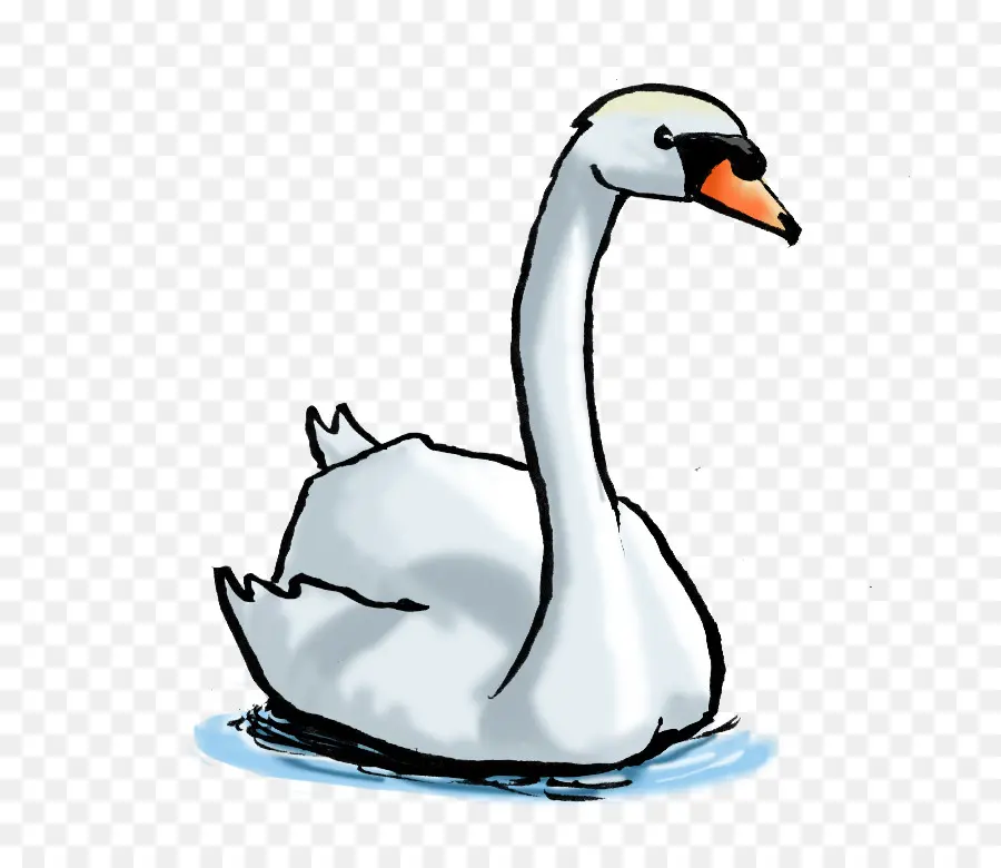 Cisne Branco，Água PNG