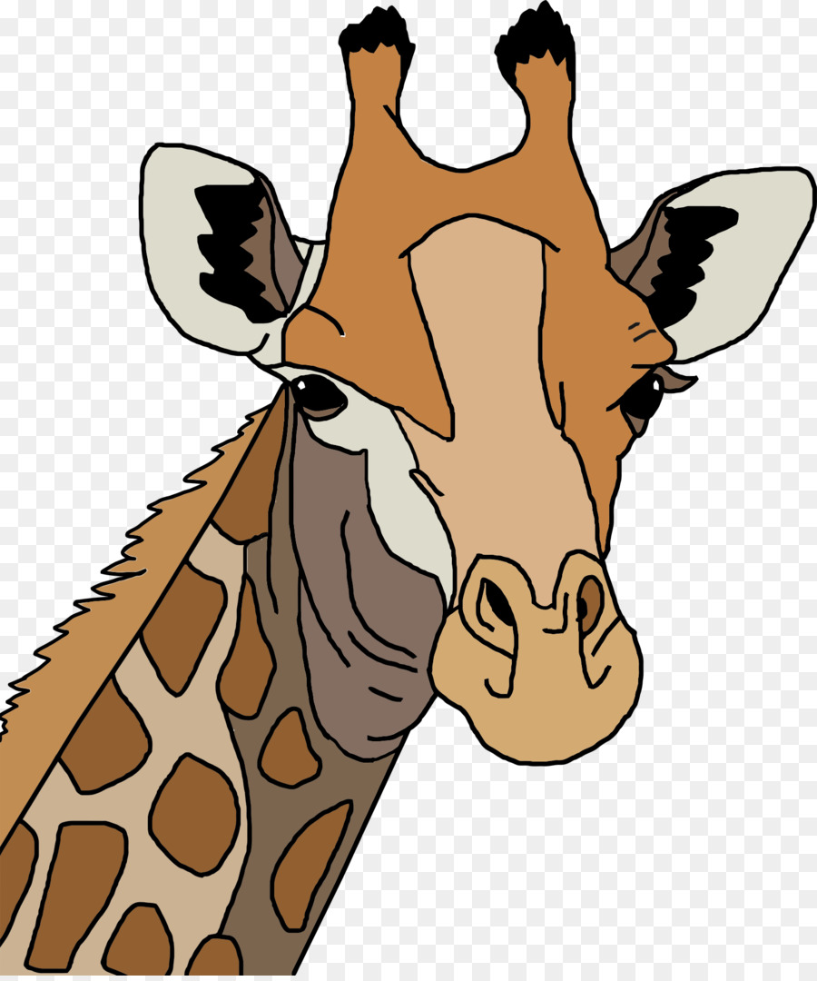 Girafa，Animais Selvagens PNG