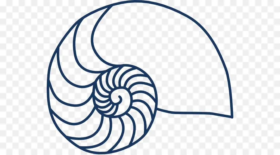 Concha Do Nautilus，Espiral PNG