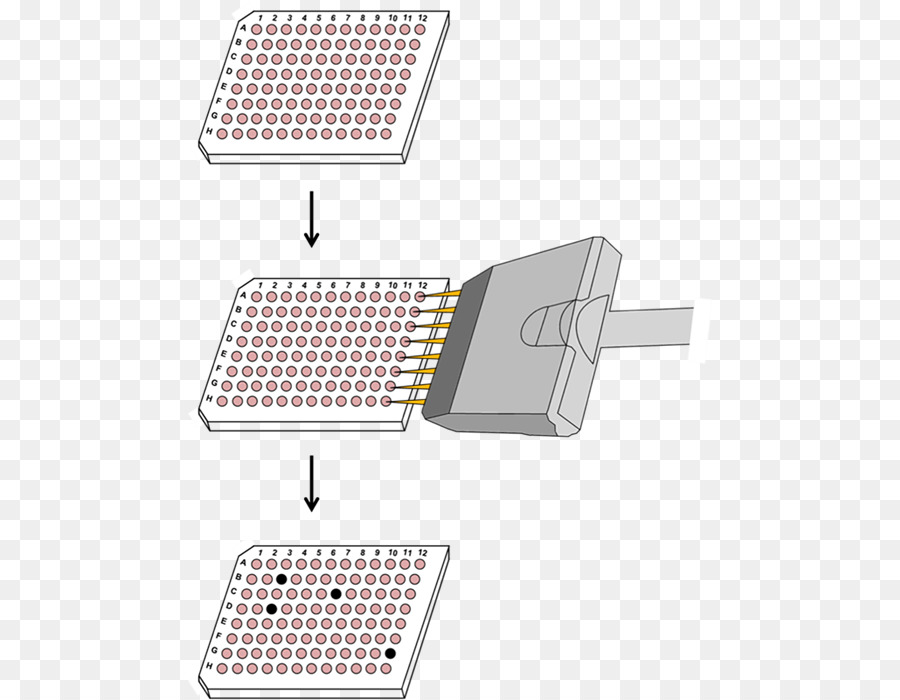 Crispr，Célula PNG