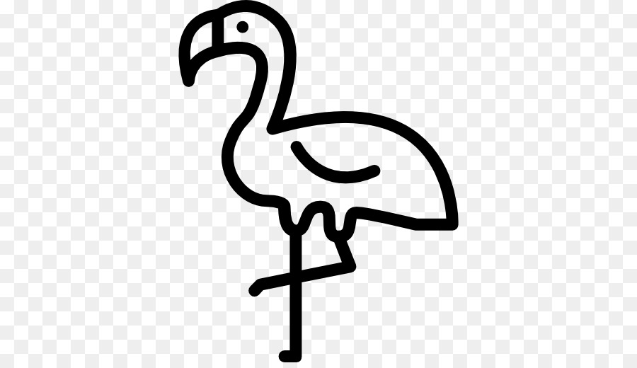 Flamingo，Pássaro PNG