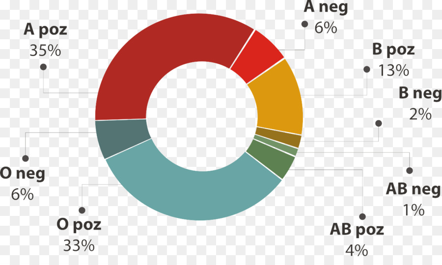 Gráfico De Pizza，Gráfico PNG