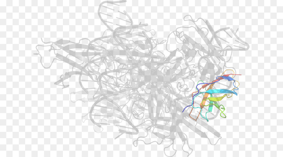 Estrutura Proteica，Molécula PNG
