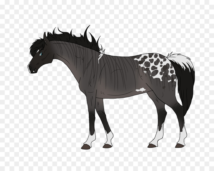 Cavalo，Equino PNG