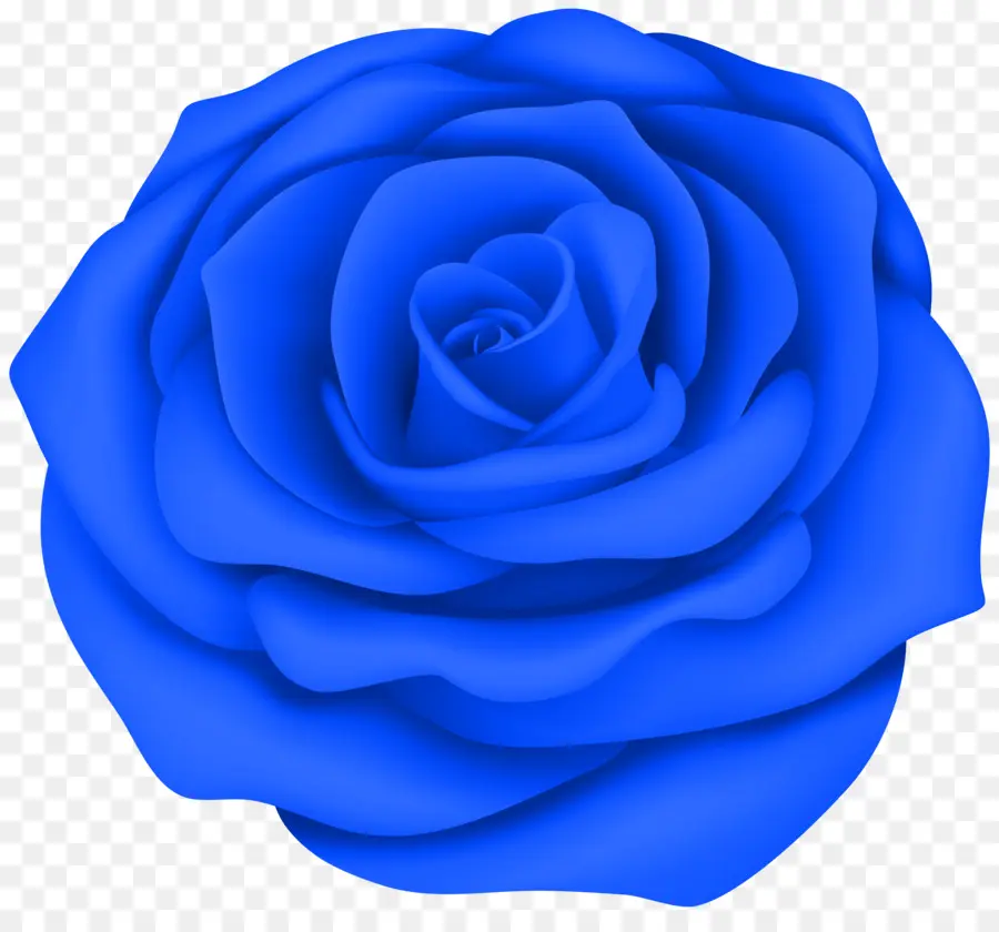 Rosa Azul，Pétalas PNG