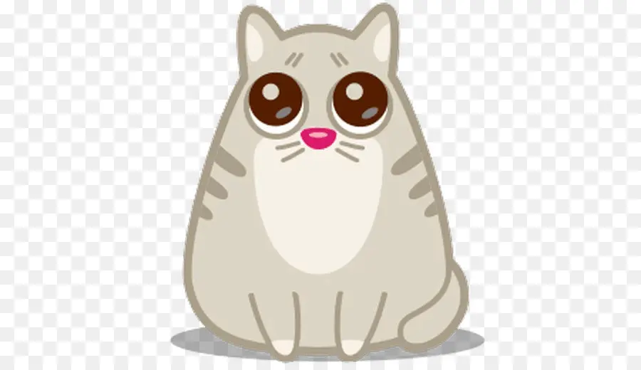 Gato Fofo，Animal PNG