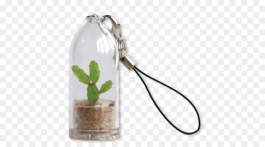 Chaveiro Cacto，Planta Em Miniatura PNG