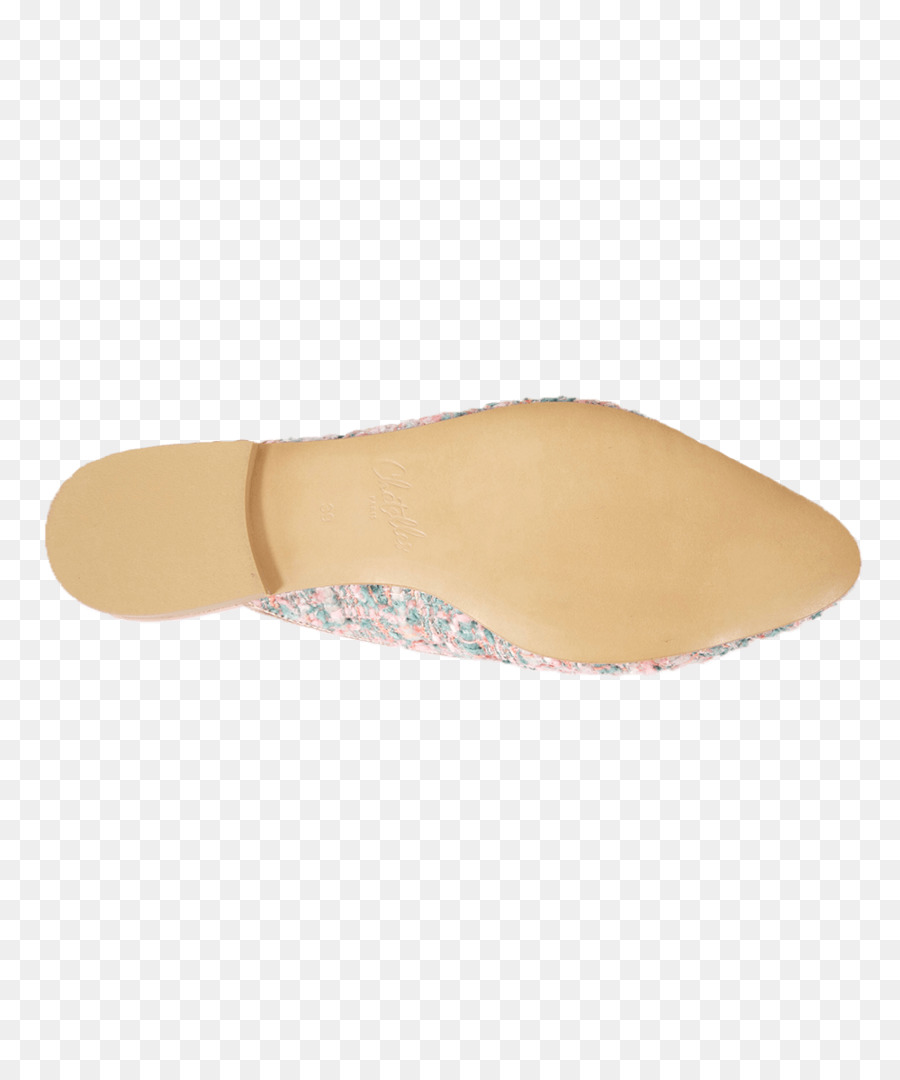 Chinelo，Sapato PNG