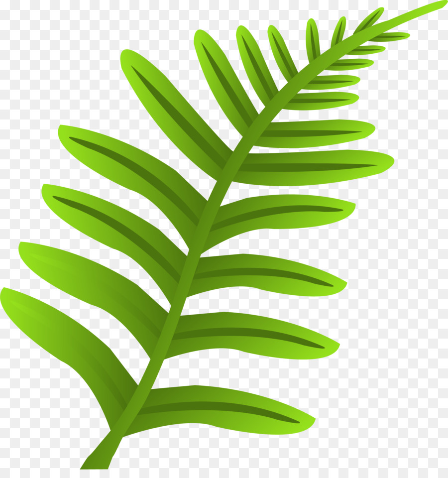 Folha Verde，Natureza PNG