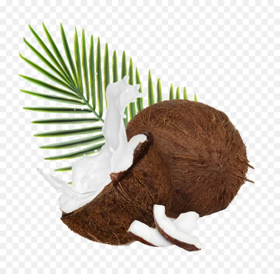 Coco，Leite De Coco PNG