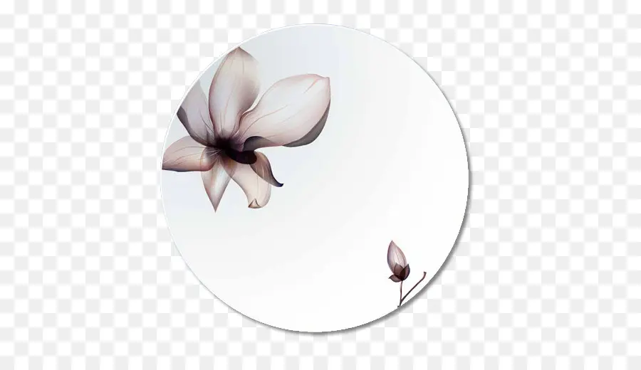 Flor，Círculo PNG