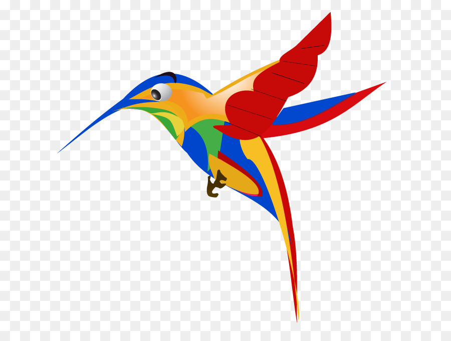 Beija Flor Colorido，Colibri PNG