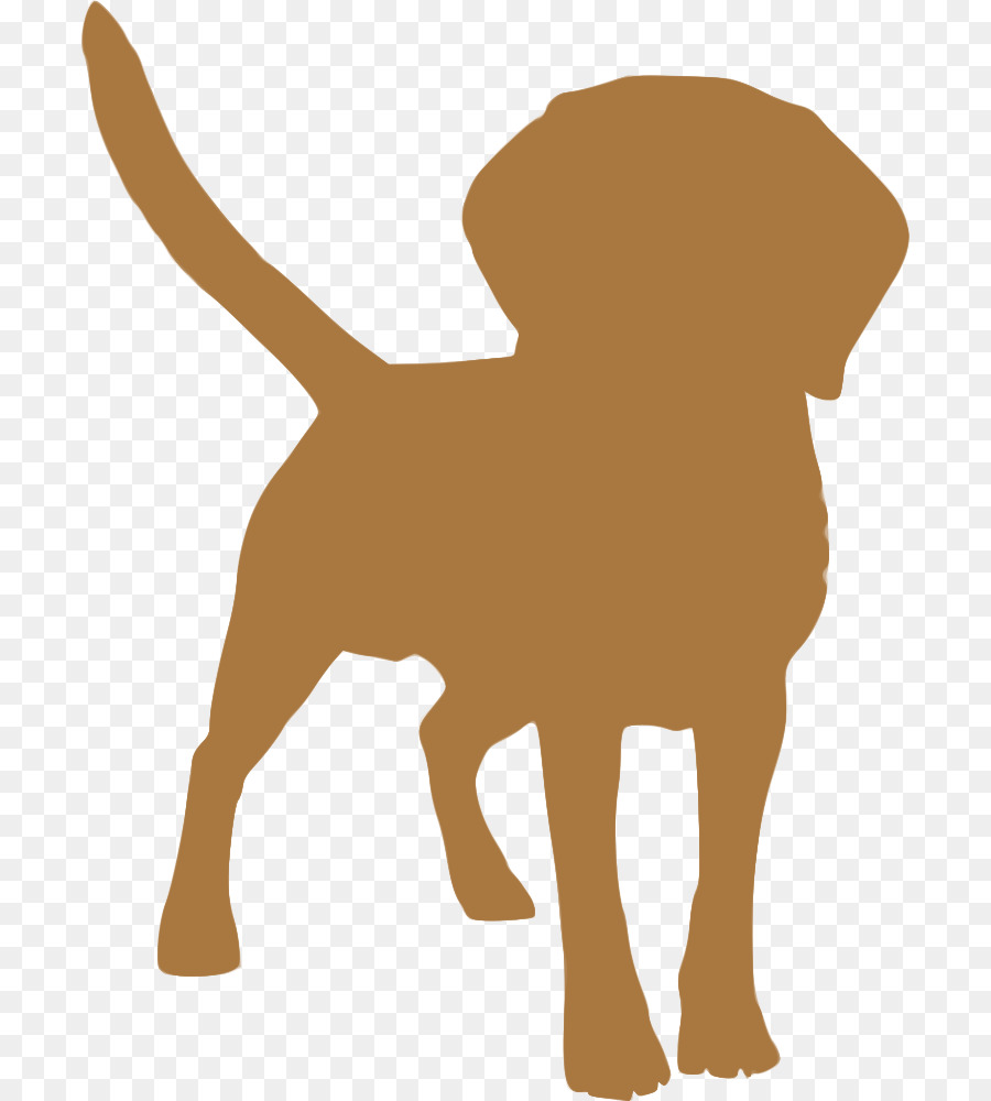 Raça Do Cão，Filhote De Cachorro PNG