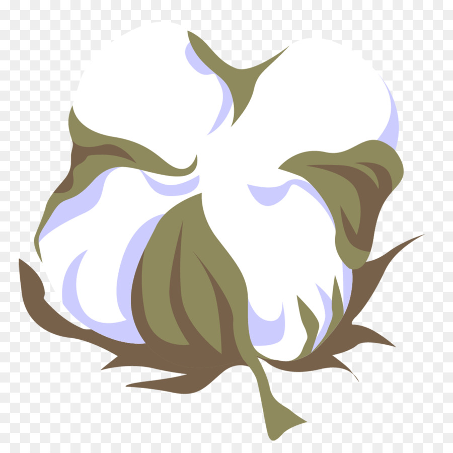 Planta De Algodão，Algodão PNG