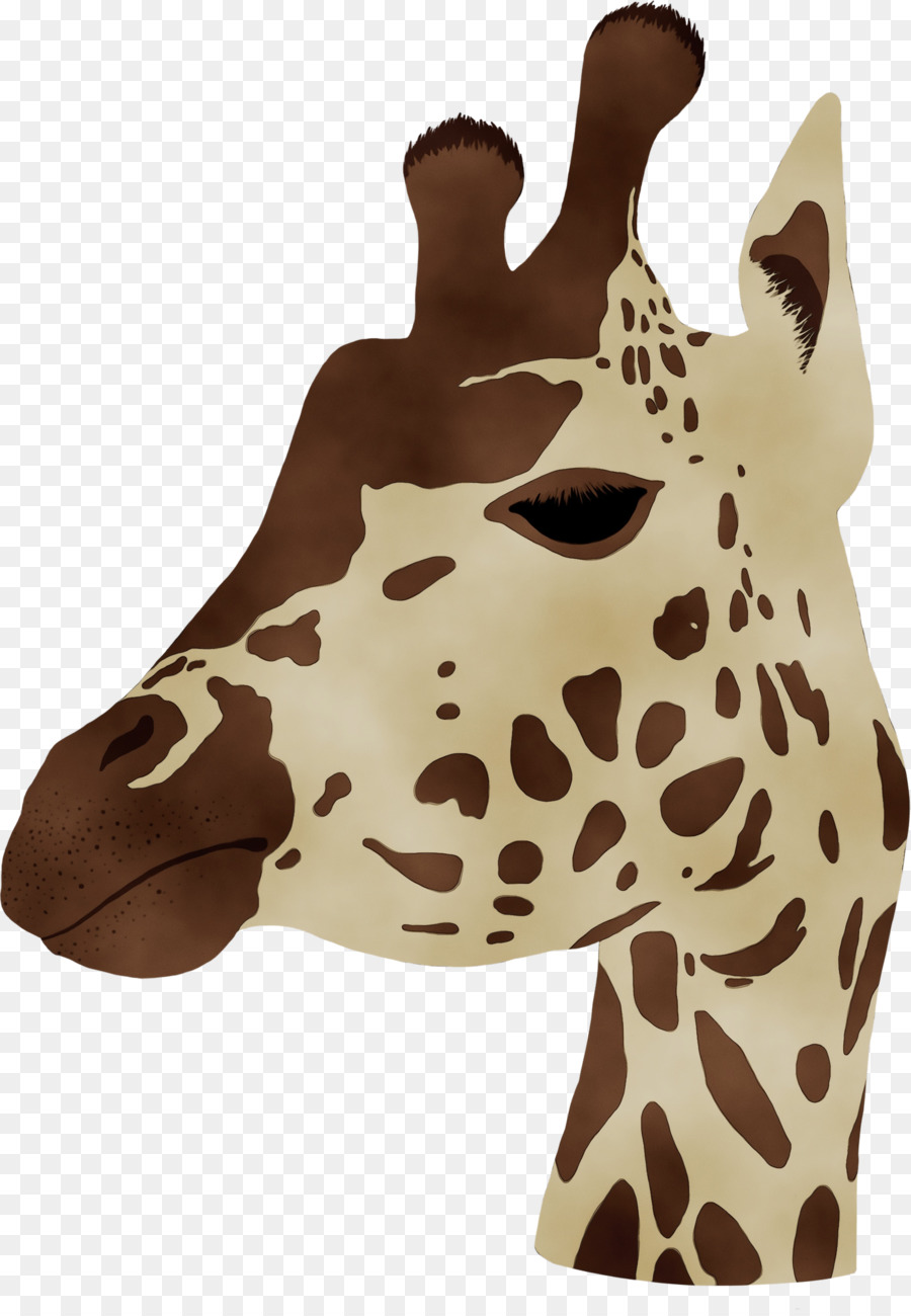 Girafa，Pescoço PNG