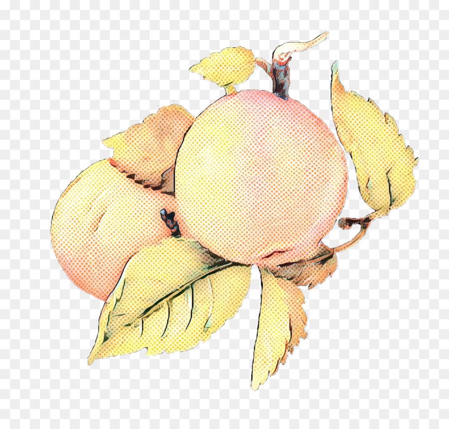 Frutas， PNG