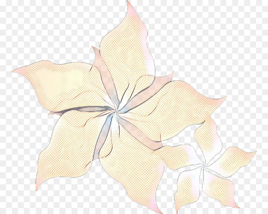 Design Floral，Plantas PNG