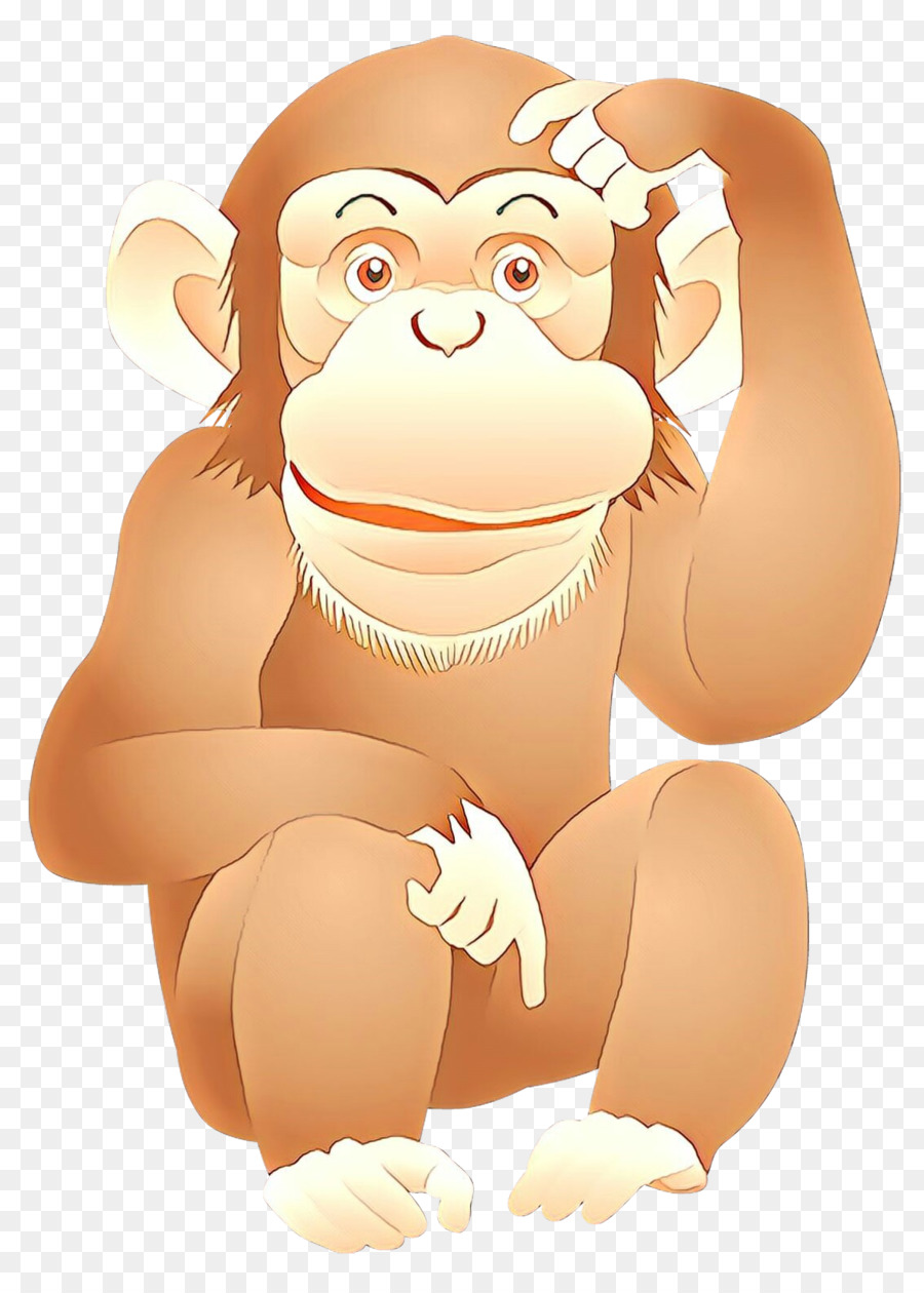 Macaco，Primata PNG